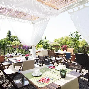 7 3*, Pisa Italien